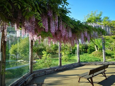 나폴리 동물원 (로 주 디 나폴리)